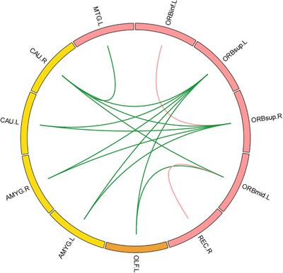 Resting-state functional connectivity alteration in elderly patients with knee osteoarthritis and declined cognition: An observational study